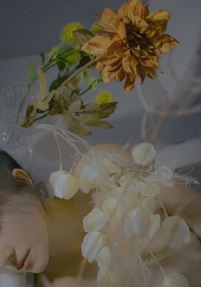 免费看男阳茎进女阳道动态回_蓝光免费在线观看